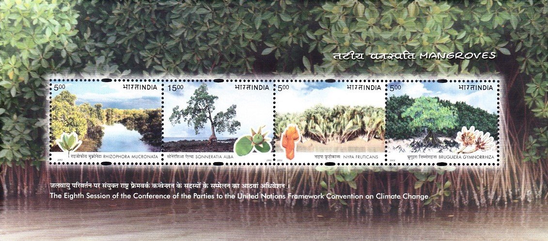 Mangroves in India
