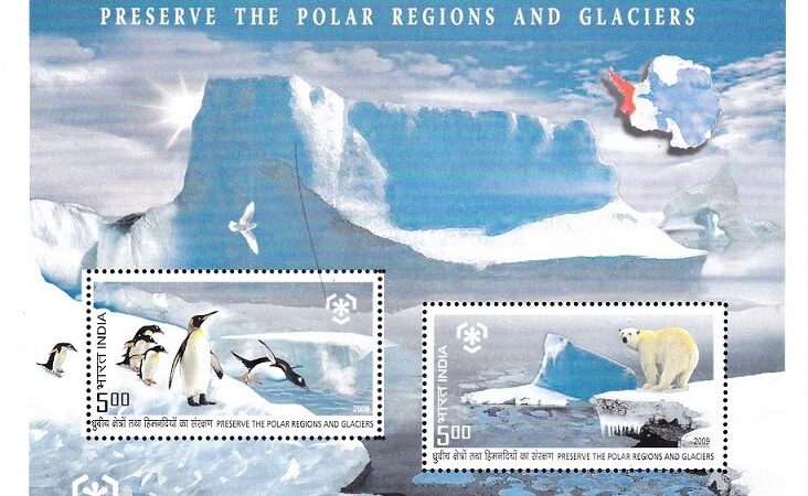 North and South Poles : Emperor Penguins and Polar Bear