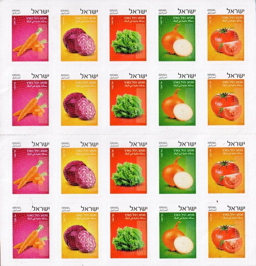 Tomato, Onion, Lettuce, Purple Cabbage, Carrot